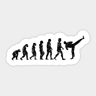 Taekwondo Evolution Sticker